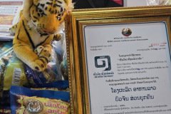 flamingtigerlaoodopproduct06